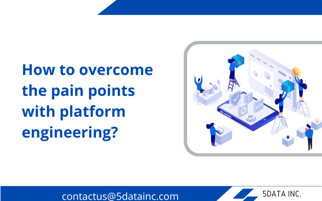 Pain points with platform engineering while designing, building and maintenance of Software platforms.