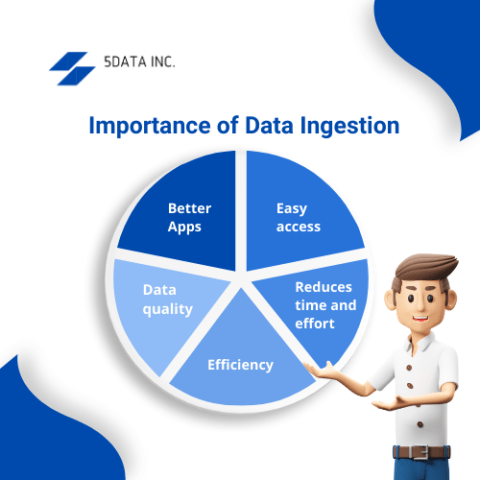 What Is Data Ingestion And Why Is It Important | 5DataInc