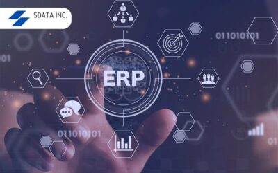 Choosing The Right ERP System For Your Business Needs 